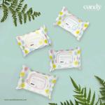 Candy Floss Wet Wipes Aqua - 30 Wipes per Pack, Pack of 4 - Refreshing and Gentle Cleansing
