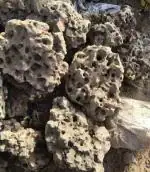 Maalavya Congo Rock Rocks - 240 G