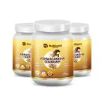Dwibhashi Ashwagandha Churnam 100gm (pack of3)