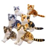 HAPPY SPRINGS Loveable Cat Soft Animal Toy for Kids - 30CM - Multicolor - Pack of 1 - Random Color Will be Send