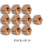 Puzzleboxx Do it Yourself Birdhouse Pack of 10 for Small and Tiny Sparrows Bird Hanging on Balcony, Garden or Outside, Wall Mounting, Tree Mounting & Free Standing