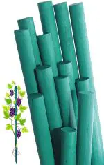 BLOOMAX Hardwood Plant Support Sticks, Lengths- 3 ft, Pack of-22 pcs- with Free Twist Ties