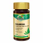 ZANDU Kalamegha Ayurvedic Medicine (1 Pack, 60 Caps in Pack)