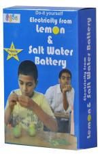 Kutuhal Multicolor Lemon And Salt Water Battery Making Kit For 9 Years and Up