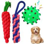 Emily Pets Dog Toys All-in-One Set Dog Toys Pack for Small to Medium Dogs (Pack of 3, Color May Vary)