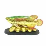 pujaNpujari Vastu Feng Shui Golden Arowana Fish Strong Wealth Symbol