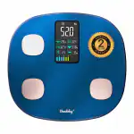 Vandelay Smart Digital Bluetooth BMI Electronic Weighing Scale,Blue