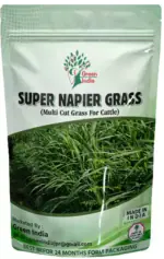 Green India SUPER NAPIER GRASS SEED HIGH YIELD_1000 Seed