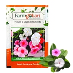 FARMGOKART | PACK OF 1000 VINCA FLOWER SEEDS | GROWER/ NURSERY PACK FOR GARDENING