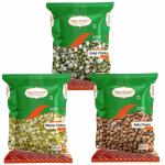 Paaritosh Combo Pack of Urad Chilka Dal,Moong Chilka Dal and Black Chana Chemical Free & Pesticides Free | Free From Impurities | 500 Gram Each | Pack of 3