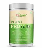 JOY LAYER ; For Healthy Tomorrow Plant Protein Powder - 500 gm | Plant Based Protein Supplement For Men & Women | 26g protein I 45 Vitamins & minerals I 5g BCAA | Choco Delight Flavour