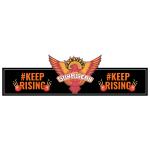 Festiko Team SH Headbands (Set of 10 Pcs), Ipl Theme Headbands, Cricket Party Props, Ipl party supplies, Ipl Party Wearables