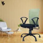 YTT Mesh Mid-Back Ergonomic Office Chair | High Back for Work from Home/Study | Breathable Mesh Fabric with Chrome Base Maroon (Green)