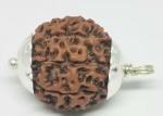 Feel Touch Mart 8 Mukhi Rudraksha Original Certified Natural Nepal Aath Mukhi Bead A1 Brown Bead with Pendant & Thread Energized