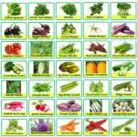 Vrisa Green 35 Variety Vegetable Organic Seeds - 35 Per Packet