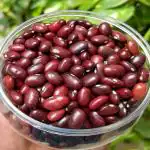 NatureVit Red Kidney Beans, 1 Kg (Whole Rajma)