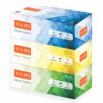 Tulips Facial Dry Tissue Paper 200 Pulls 2 Ply (Pack of 3)