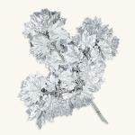 SPECIALYOU.IN Pack of 12 Artificial Silver Maple Leaves Plant Garland for hanging, home, wall, room, living room decoration, Fake Leaf Flower Hanging Decoration