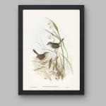 ZIG ZAG Elevate Your Space with Stunning Resin Art Laminated Wall Art in Black Frame (Bird)