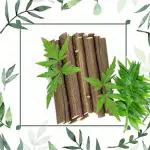 Herbal Bharat Natural Organic NEEM Datun For Healthy And Strong Teeth And Gums ( 9 inch Sticks ) ( Pack of 11 Sticks ) Medium Toothbrush (11 Toothbrushes) (11)