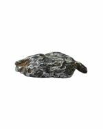 Shubhanjali store Natural crystal Authentic Mini Meteorite Stone