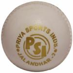 PSE Sports Rubber Cricket Ball White