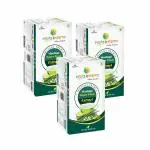 Roots and Stems Moringa Instant Mix Green Tea with Probiotic, 20 Sachets - Pack of 3