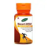 Shrey's Biocart MSM, Glucosamine, Rutin & Quercetin - 60 Tablets (Joint-Cartilage Support)