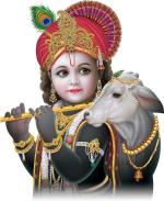 Rangoli Multicolor PVC Vinyl Wall Sticker, 35 cm