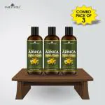Park Daniel Arnica Herbal Hair Growth Oil, 100 Ml Each (Pack Of 3)