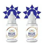 True Heaven Diy Liquid Soap Making Colours Blue (Essential Collection) For Melt & Pour Process Set Of 2 (15Ml+15Ml=30Ml)