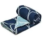 RRC Microfiber Classic Printed Warm AC Duvet Quilt Comforter Lightweight Comforter Double,90X1000(Inches) (Beelpatra Blue, Double)