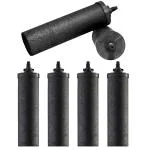 RAMA Carbon Candles for Fast Filtration, Pack Of 6