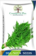 Countgreen Plus Dill Vegetable Seeds, 300 Per Packet