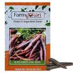 Farmgokart |20 gms BLACK CARROT SEEDS |for Home Gardening , Farming , Hydroponics and Poly Houses|