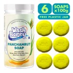 WashBerry Ayurvedic Panchamrut Bath Soap 100g (Pack of 6) | Handmade Herbal Soap
