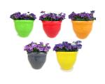 Go Hooked Unbreakable Colourful Garden Planter, Beautiful Flower Pots (Set of 5)(Multicolor)