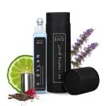 EM5 V Dylan Perfume Roll On for Men Alcohol Free Concentrated Oil Aromatic Woody Fresh, 10 ml