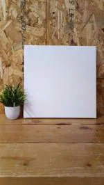 PHOTOEXPRESS. in Canvas Photo Frame| 12x12 inch