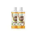 Kudos Antiseptic Liquid for First Aid and Personal Hygiene 500 ML (Savlon) (Pack of 2)