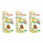 Aushadhi Honykof Syrup Value Pack (3 x 200ml) | Ayurvedic Herbal Cough Syrup | Natural Remedy for Dry & Wet Cough | Quick Relief, Throat Soothing | Organic, Chemical-Free | Ideal for Families