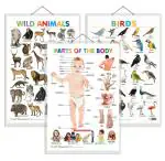 GO WOO Combo of 3 Wild Animals, Birds and Parts of the Body Educational Posters | Charts for Kids