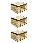 Vyora Saree Covers Set Of 3 Garment Storage Bags Combo Pack Of 3 - 07_ Go