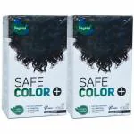 Vegetal Dark Brown Certified Organic Chemical and Allergy Free Bio Natural Hair Color, 100 gm - Pack Of 2