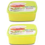 Nayasa Double Decker Regular Plastic Lunch Box, Pack Of 3, 1 Decker with partition,2 Inbuild Containers,1 Spoon & 1 Fork,Airtight & Leakproof Lid,Light Weighted,Easy To Carry,Ideal For School Going Kids, Green