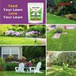 Agreno Lawn booster Green and Fast Growth, Essential Powerful Organic Fertilizer Granule for Overall Healthy and Fast Growth of Lawn Plants. (1 kg)