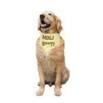 Ruse Holi ST Printed Lemon Yellow Cotton Dog Adjustable Snap Button - S