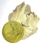 Nutrixia Parijatak Pan Powder-Harsingar Patti-Paarijaat Leaf-Parijatak Leaves-Harshingar Patta-Tristis 100 Gms