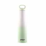 Pexpo Morocco Pro 700 ISI Certified | Hot & Cold Insulated Water Bottle with Loop Handle| Stainless Steel Flask - 600ml | Purple-Green Ombre Shade | Thermoflask | Office Bottle | RCB Edition