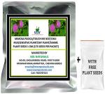 MGBN THE PATH FOR THE HEALTHIER LIFE WITH BEAUTY Mimosa Pudica, Touch Me Not, Chui Mui, Sensitive Plant, Shy Plant, Shame Plant Seeds 1 g (173 Seeds per packet) (with Free Plant Seeds)